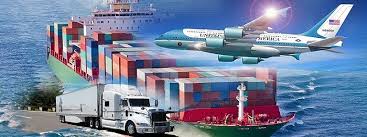 Dịch vụ hải quan - Logistics Nhật Nam - Công Ty TNHH Logistics Nhật Nam